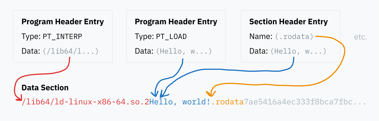 A diagram demonstrating how different parts of the ELF file reference locations within the data block. A continuous collection of data is depicted, fading out at the end, containing some clearly recognizable things such as the path to an ELF interpreter, the section title ".rodata", and the string "Hello, world!" A couple example ELF sections float above the data block, with arrows pointing to their data. For example, the data sections from both the PHT and SHT entry examples point to the same "Hello, world!" text. The SHT entry's label is also stored in the data block.