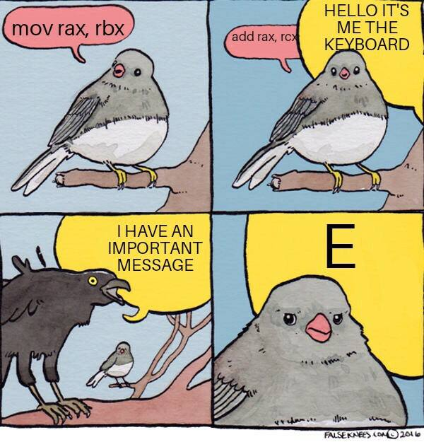 A 4-panel meme comic depicting a small bird on a branch, with speech bubbles containing assembly instructions. In the second panel, another speech bubble appears from out of frame, shouting "hello it's me the keyboard!" In the third panel, the source of the shouting is visible as a large crow in frame, now shouting "I have an important message!" In the final frame, a close up on the small bird looking unamused. Another speech bubble from the crow out of frame bears simply the letter E.
