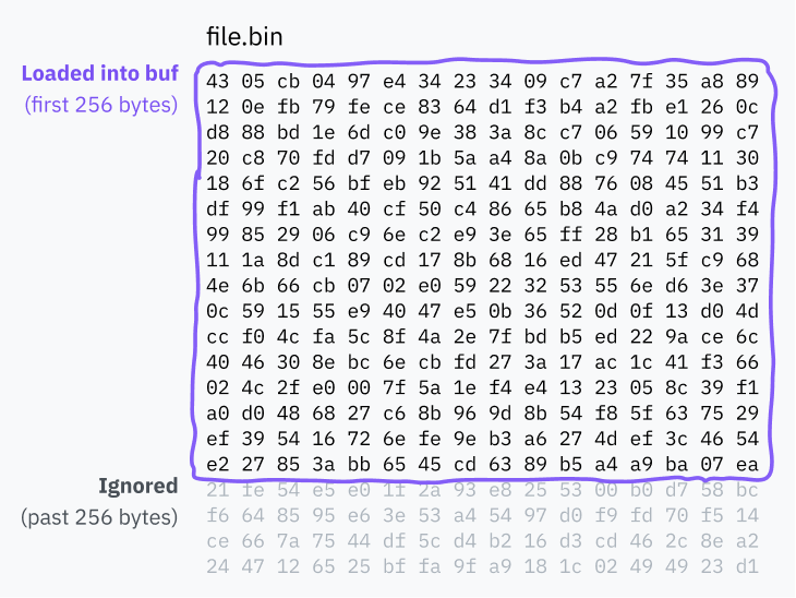 A diagram depicting shebang truncation. A large array of bytes from a file named file.bin. The first 256 bytes are highlighted and labeled "Loaded into buf," while the remaining bytes are translucent and labeled "Ignored, past 256 bytes."